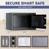 DASHEENCO 0.5 Cuft Steel Security Safe, Lock Box with Electronic Keypad & Emergency Keys, Anti-Theft Home Safe Box for Cash, Documents, Handguns, Jewelry, Black DASHEENCO