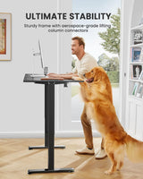 ErGear Height Adjustable Electric Standing Desk, 55 x 28 Inches Sit Stand up Desk, Memory Computer Home Office Desk (Black) ErGear