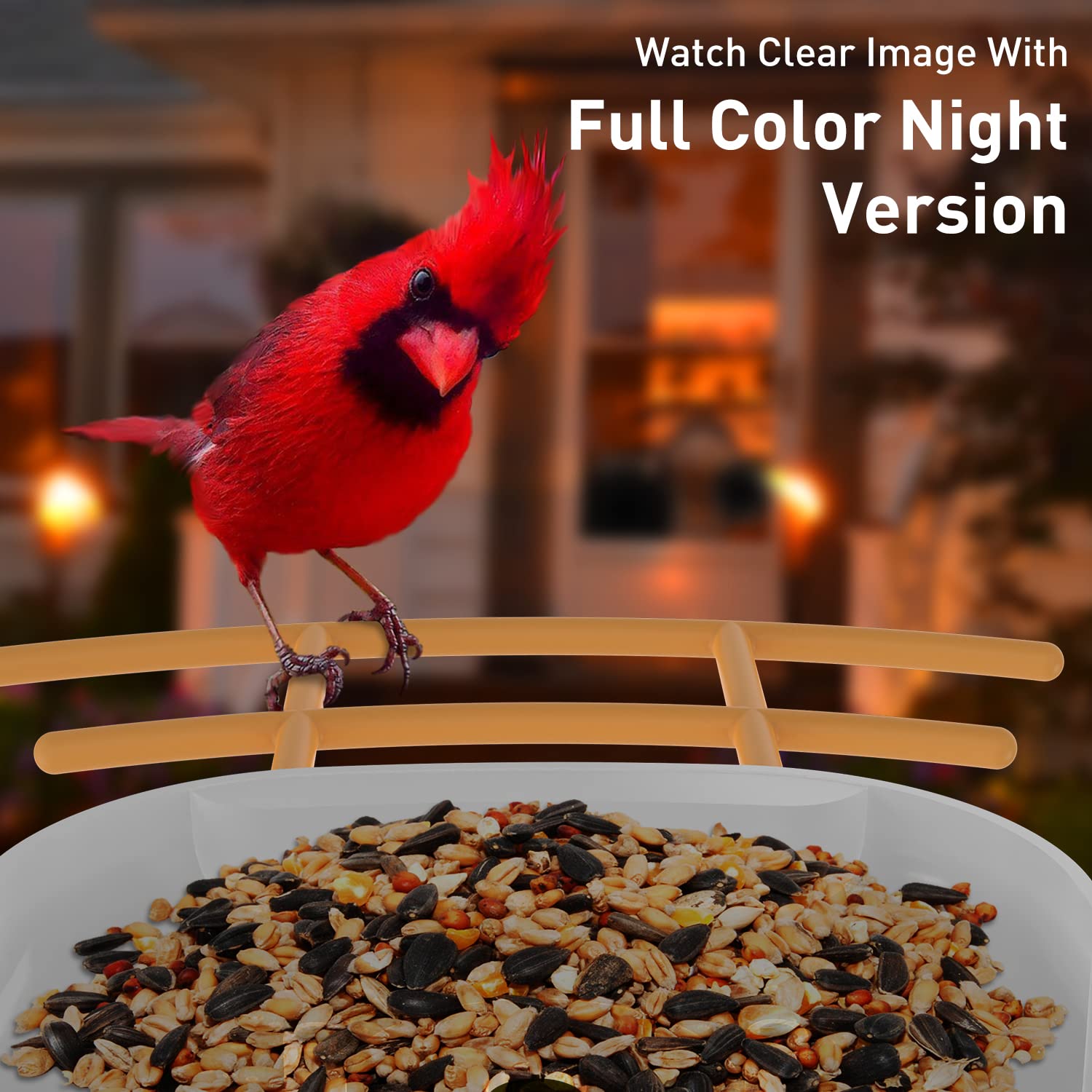 SOLIOM BF09 Bird Feeder with Camera Wireless Outdoor,Smart Bird Feeder Camera with AI Identify Bird Species,Backyard Bird Watching Gift for - WoodArtSupply