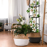 2 Pcs Garden Obelisk Trellis for Climbing Plants Outdoor 6 Ft Rose Bush Round Trellis for Pots Rustproof Metal Plant Flower Trellises for Clematis Vine Jasmine Support Outdoor Indoor Miuwauer