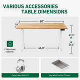 FEZIBO 63 x 24 Inches Standing Desk with Drawer, Adjustable Height Electric Stand up Desk with Storage, Sit Stand Home Office Desk, Ergonomic Computer Desk, Light Rustic FEZIBO