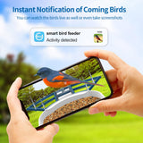 Bird Feeder with Camera, Smart Bird Feeder Camera with 1080P HD AI Identify Instant Notifications, Bird Watching Camera with Solar Panel in Backyard, Ideal Gifts for Family and Bird Lovers,Navy Blue Vatjubi