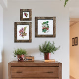 IKEREE 8x10 Rustic Picture Frames with Real Bark, Made of Natural Wood and Real Glass, Display Pictures for Tabletop or Wall Mounting. IKEREE