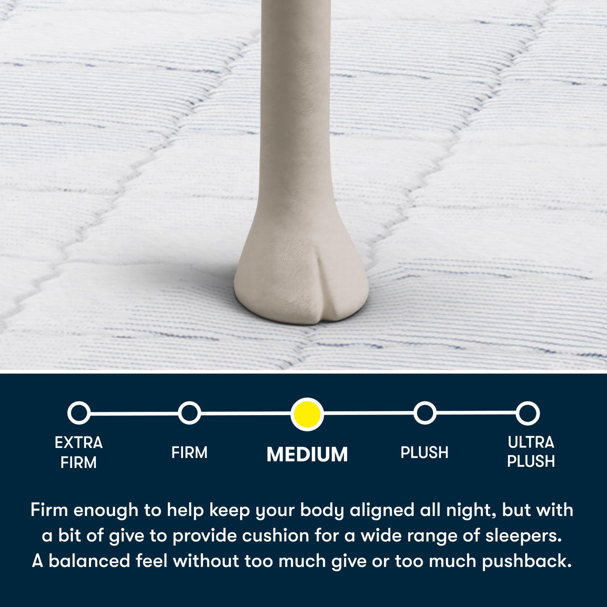 Serta Five Star Mattress Tranquility 10-Inch Medium – Twin– Zoned Lumbar Support, Pressure Relief, Cooling Foam – Bed-in-a-Box– 100 Night Trial, 10-Year Limited Warranty Serta