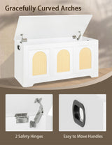 DINZI LVJ Storage Chest, 39.4" Rattan-Like Storage Box with 2 Safety Hinges, Wooden Entryway Shoe Bench with Flip-Top, Trunk for Living Room, Bedroom, Easy Assembly, White and Natural DINZI LVJ