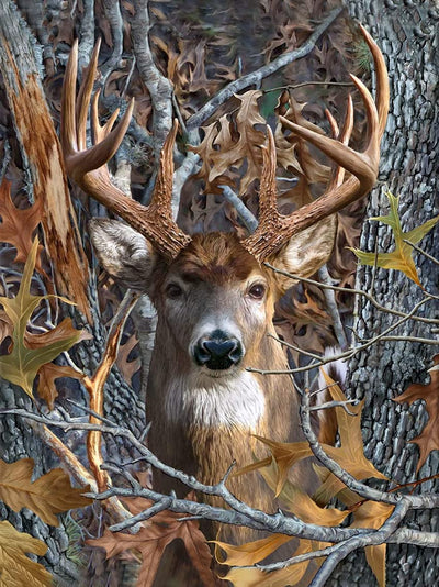 TISHIRON Deer Diamond Art Painting Kits 5D Diamond Full Drill, Forest DIY Diamond Art Kits for Adults Kids, Gem Art Painting with Diamonds, Arts and Crafts for Beginners Adult Kids Wall Decor 12x16