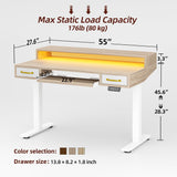 TIQLAB 55 x 28 Inch Height Adjustable Electric Standing Desk with Double Drawers&Keyboard Tray, Stand Up Desk with LED Strips&Monitor Stand, Light Walnut TIQLAB