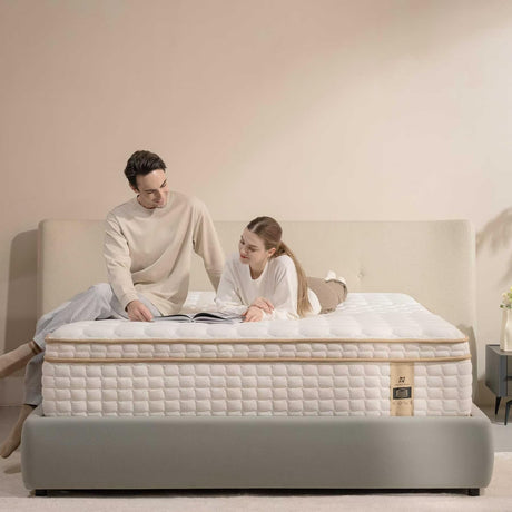 AN Adamant Noyau 12 Inch King Size Mattress in a Box, Memory Foam Hybrid Mattress for Motion Isolation, Pocket Spring and Soft Foam, Pressure Relief, Medium Firm Support AN Adamant Noyau