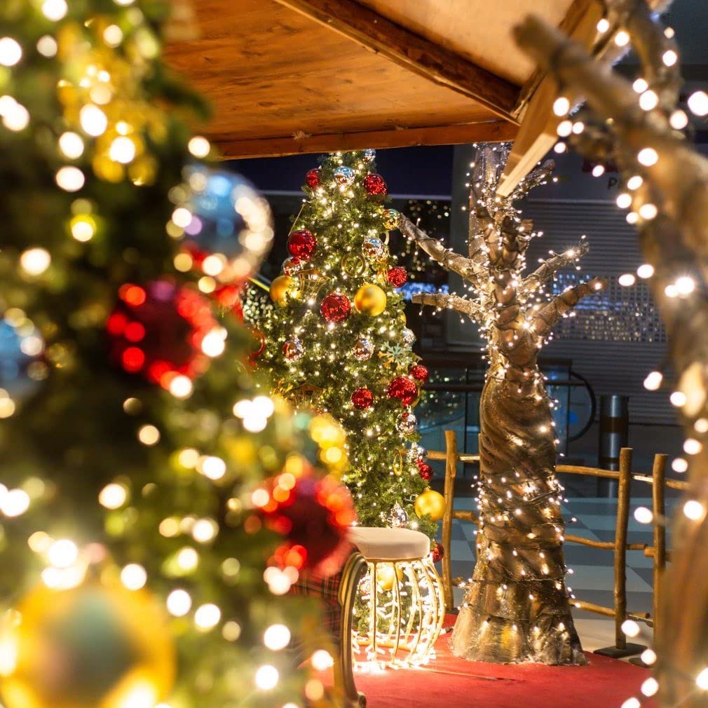 Quntis 164ft 2000 LED Cluster Christmas Lights - Dark Green Wire Cluster Christmas Tree Lights - 8 Modes Outdoor Waterproof Strands Christmas String Lights for Holiday Wedding Party Decor, Warm White Quntis