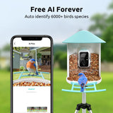 NETVUE Birdfy Smart Bird Feeder with Camera - Auto Capture & Identify 6000+ Species, Free AI Forever, Ideal Gift for Birdwatching and Bird Lovers NETVUE