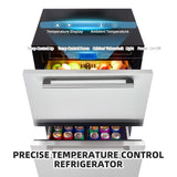 Garvee 24 Inch Outdoor Drawer Fridge, Counter Double Drawer Beverage Refrigerator, 5.2 Cu.Ft. Weather Proof Stainless Steel Built-in Fridge for Residential Commercial Use Black Garvee