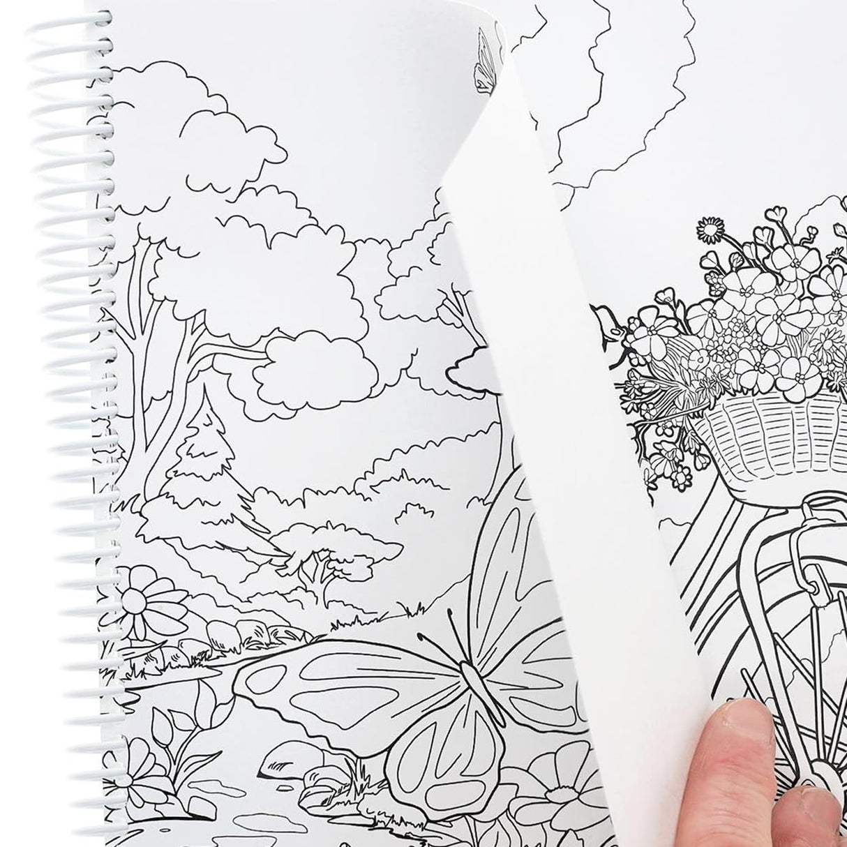 Leisure Arts Blooms & Butterflies Adult Coloring Book – Relaxation & Stress Relief with Intricate Floral, Butterfly Nature Designs, Premium Single-Sided Pages, 80 Sheets LEISURE ARTS