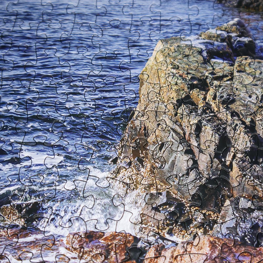 BEDUKE Jigsaw Puzzles for Adults 1000 Pieces Acadia National Park 1000 Piece Puzzle Age 14+ Thick Sturdy Cardboard Precise Interlocking Family Game BEDUKE