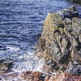 BEDUKE Jigsaw Puzzles for Adults 1000 Pieces Acadia National Park 1000 Piece Puzzle Age 14+ Thick Sturdy Cardboard Precise Interlocking Family Game BEDUKE