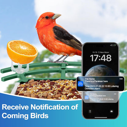 Smart Bird Feeder with Camera, 4MP Bird Feeder Camera Wireless Outdoor, APP Control, Batteries & Solar Powered, Color Night Vision, 10000+ AI Identify Bird Species, Ideal Gift for Bird Lover