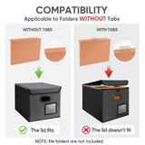 BALEINE File Organizer Box with Lid, Collapsible File Folder Organizer with Plastic Slide, Hanging File Folder Box for Office Document Storage (1 Pack, Black) BALEINE