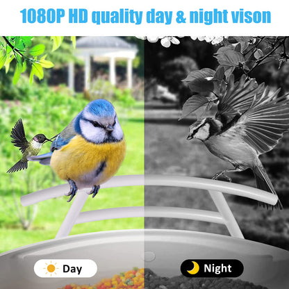 Smart Bird Feeder with Camera Dual Solar Powered, Motion Detection & AI Identify 11,000 Birds Recognition, 1080P HD Night Video Camera, Auto Notify &