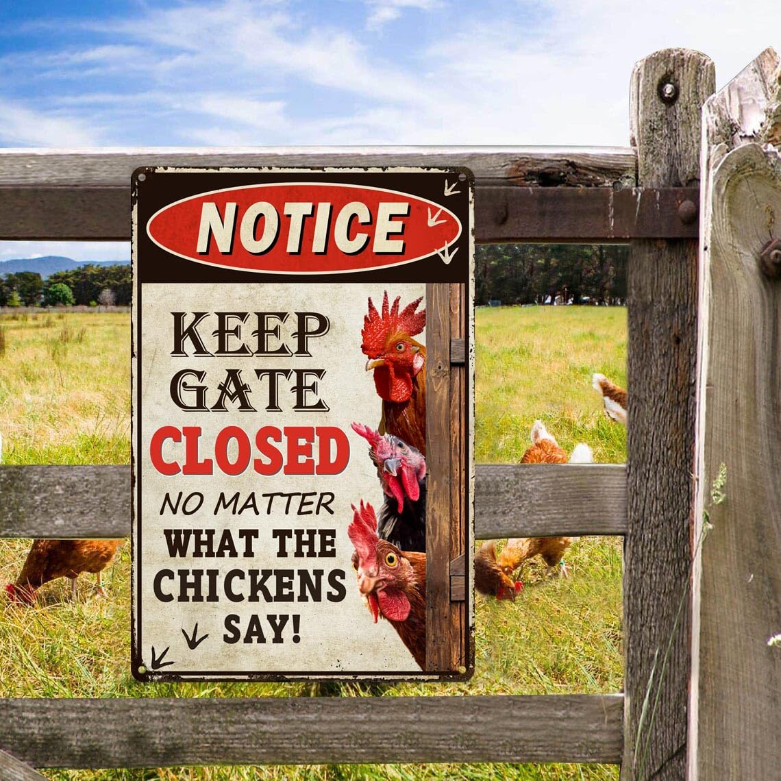 Bestylez Keep Gate Closed Sign Funny Chicken Coop Warning Sign Outdoor Chicken Decor 12" * 8" (261) Bestylez