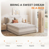 Sweetnight 14 Inch Queen Mattress in a Box for Motion Isolation & Body Support, Plush Hybrid Queen Size Mattresses with Comfort Foam & Individual Pocket Innerspring, CertiPUR-US Certified Sweetnight