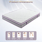 GJQ Twin Size Mattress, 12 Inch Hybrid Mattress with Pocket Spring,Cool Gel Memory Foam Mattresses in a Box,Medium Firm Twin Mattress for Pressure Relief,Fiberglass Free,CertiPUR-US Certified GJQ