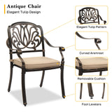 VINGLI Outdoor Dining Chairs Set of 2 Aluminum Patio Chairs, Cast Aluminum Patio Furniture Aluminum Outdoor Chairs for Backyard, Poolside, Balcony Bronze (with Cushion) VINGLI