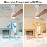 XBIBI 52 Inch Ceiling Fans with Lights and Remote,Memory Function,6-speed Reversible DC Motor,3 ABS Blades,Modern Indoor Outdoor Ceiling Fan with Light for Bedroom Patios Living Room Dinning Room XBIBI