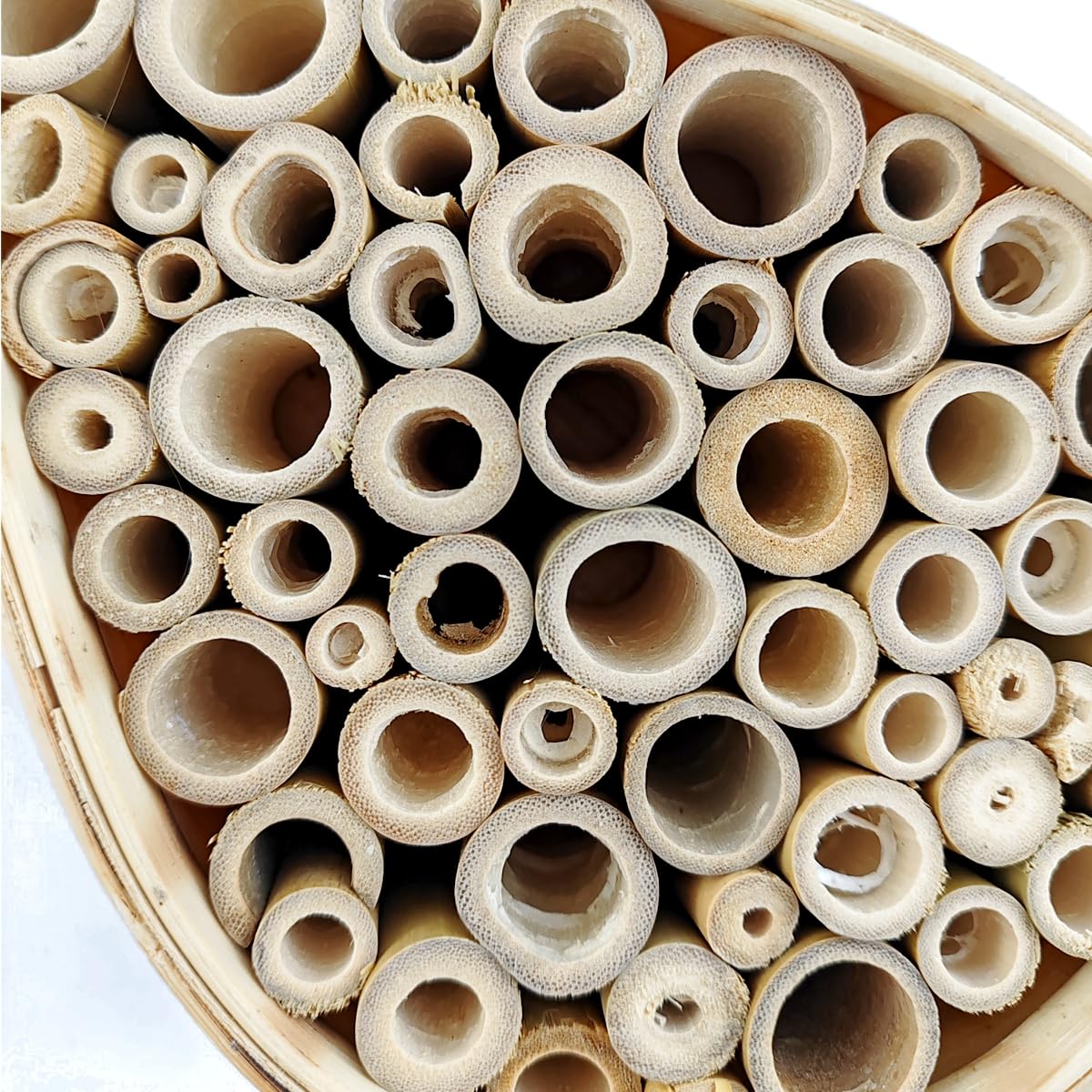 TIHOOD Mason Bee House Bees Wild Pollinator Bee Hotel Mason Bee Houses for Pollinating Bees Garden Supplies Mason Bee Houses Wooden bee House Habitat Pollinating Palace for The Garden Mason Bee Tubes TIHOOD