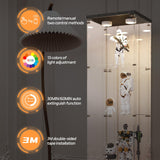 LFT HUIMEI2Y Glass Display Cabinet with LED Lights and Lock, 4-Shelf Curio Cabinets with Door, Tempered Glass Collection Display Showcase for Bedroom, Living Room 65”x 17”x 14.5” Black LFT HUIMEI2Y