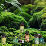 Nature Essential Oils Set, ARVIDSSON Natural Fragrance Oils for Candle Making, Fresh Cut Grass, Ocean Breeze, Rain, Pine, Sandalwood, Oakmoss, Diffuser Scented Oils ARVIDSSON