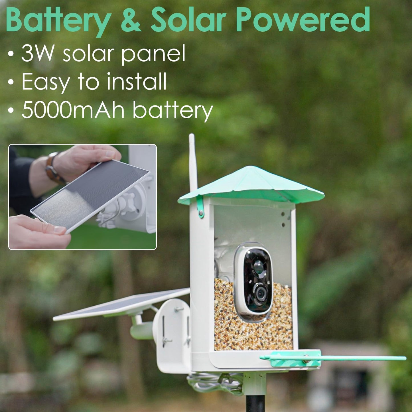 Birdkiss Bird Feeder Camera Smart: Wireless Bird House with Solar Panel - Motion Activated & Watching HD Bird Video - Metal Squirrel Proof Birdfeeder - WoodArtSupply