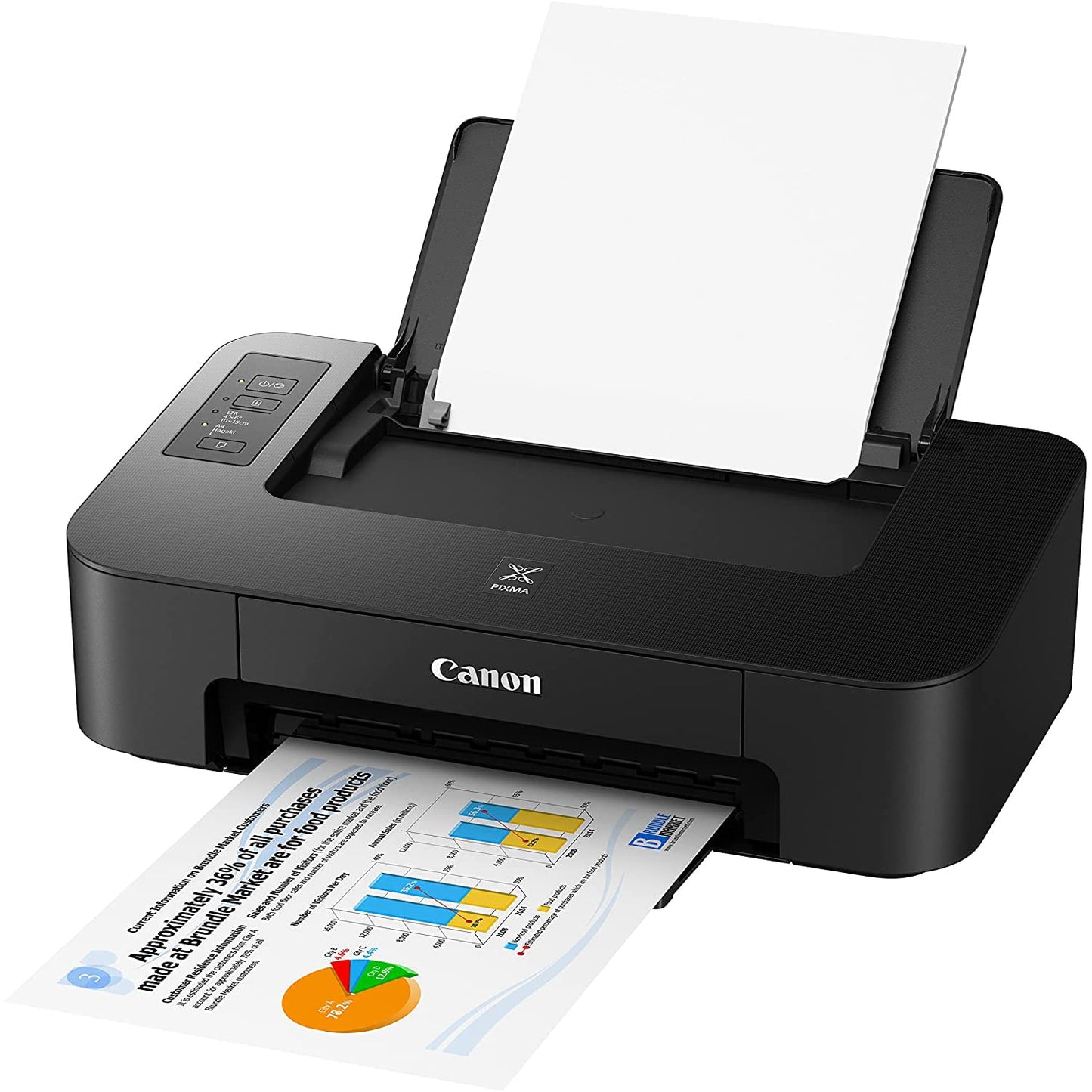 Canon PIXMA TS202 Inkjet Printer for Documents and Photos Up to 4800 x 1200 dpi with Complete Set of Full-Size Ink Cartridges Bundle Including DGE USB High Speed Print Cable + Business Software Kit