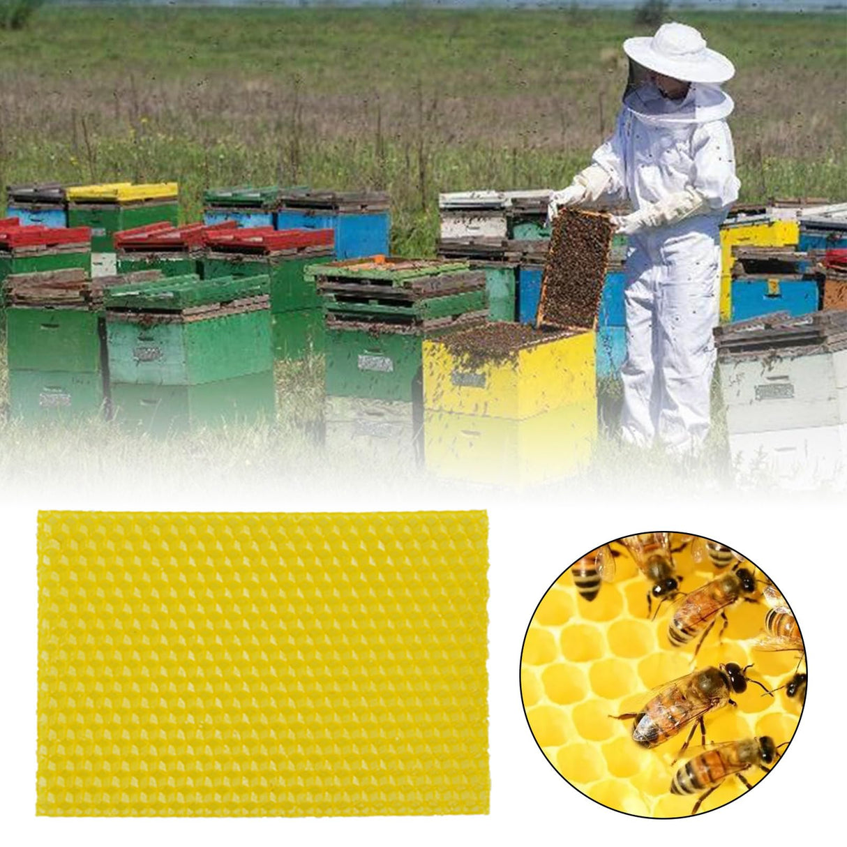 20Pcs Beeswax DIY Candle Making Kit, Natural Beeswax Honeycomb Sheets for Candle Making Beekeeping, Beehive Wax Foundation Sheets Candle Rolling Kit for Beeswax Sheets & Decorations (132 x 90 mm) Flylin