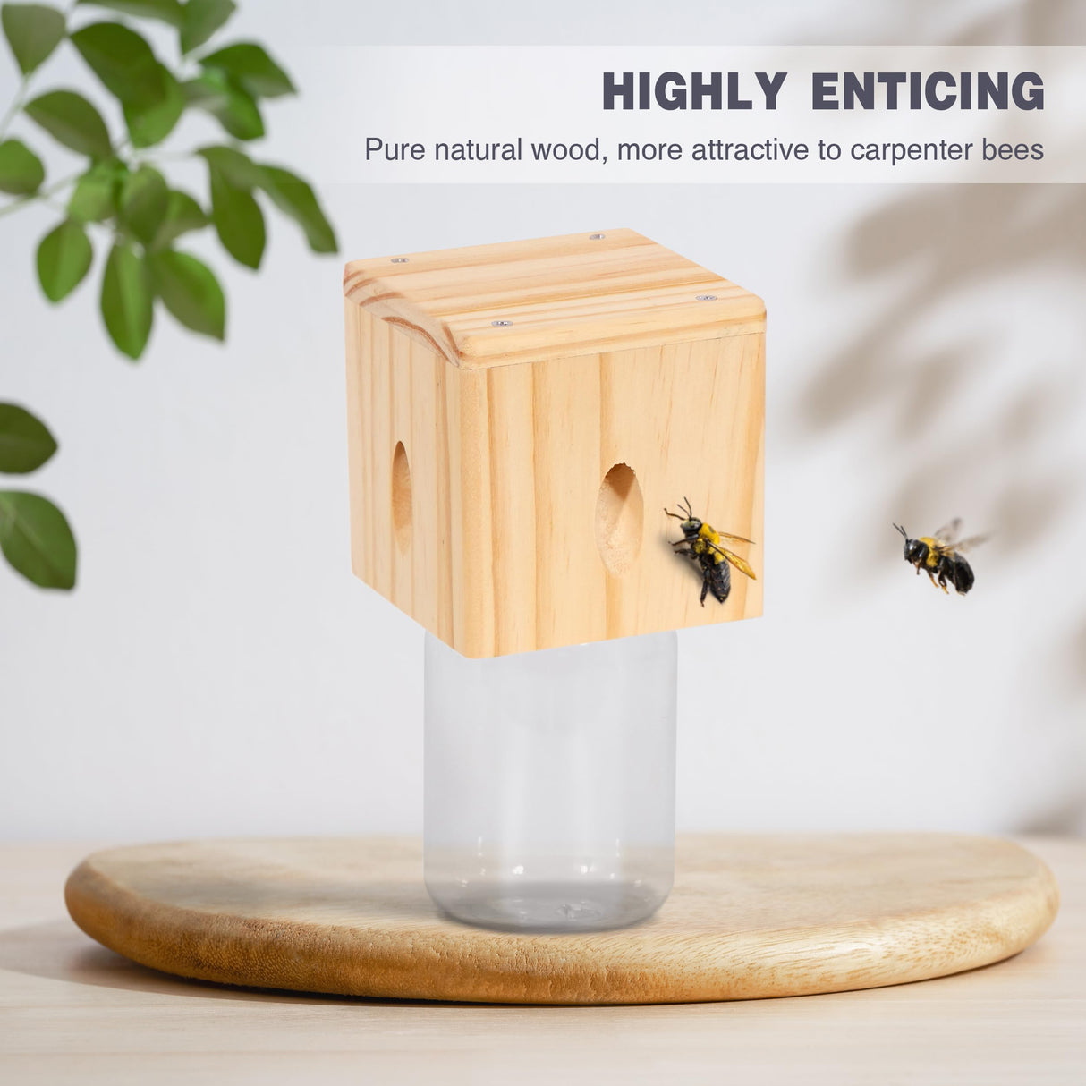 2 PCS Wood Carpenter Bee Trap for Outside - Best Bee Trap - Cube Style Nature Hanging Carpenter Bee Traps Plastic Jar Outdoor - Insect Traps Best Bee Trap