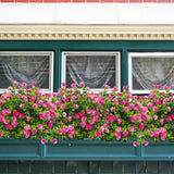 Grunyia 10 Bundles Artificial Fake Flowers, Faux Outdoor Plastic Plants UV Resistant Shrubs Outside Indoor Decorations (Pink-Eucalyptus) Grunyia
