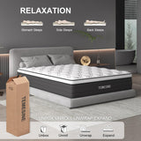 Queen Mattress, 14 Inch Hybrid Mattress in a Box with Individual Pocket Spring, Gel Memory Foam and Euro Top, Medium Firm Feel with Motion Isolation, Pressure Relief, Edge Support,Queen Size Black TEMESINE