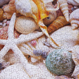 BEDUKE Jigsaw Puzzles for Adults 1000 Pieces Beach Shells 1000 Piece Puzzle Thick Sturdy Precise Interlocking Family Game Age 14+ BEDUKE