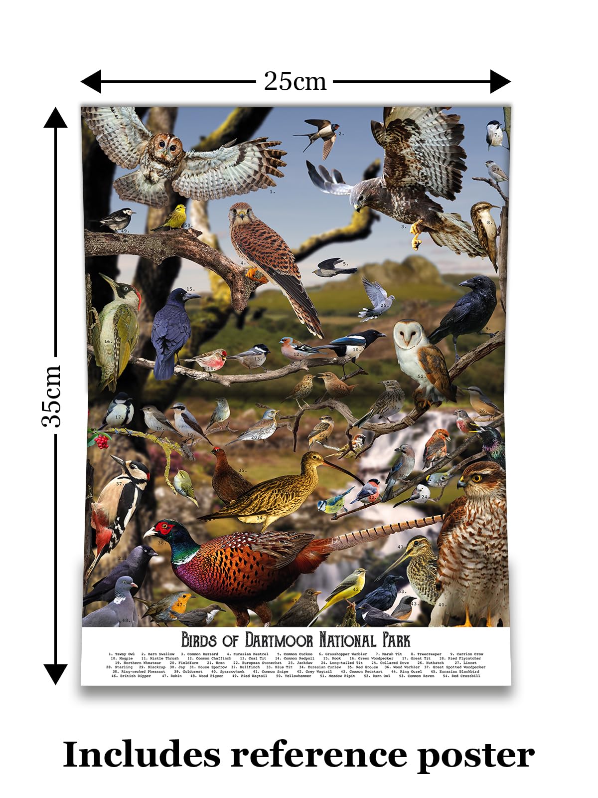 Bird Puzzles for Adults 1000 Pieces | Discover Birds of Dartmoor National Park - A 1000 Piece Puzzle for Adults | Gift for Nature and Wildlife Lovers | Adapted from an Original Art Collage Jam Contemporary Art