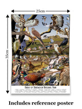 Bird Puzzles for Adults 1000 Pieces | Discover Birds of Dartmoor National Park - A 1000 Piece Puzzle for Adults | Gift for Nature and Wildlife Lovers | Adapted from an Original Art Collage Jam Contemporary Art