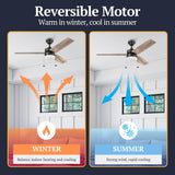 Prominence Home Reston, 48 Inch Modern Farmhouse LED Ceiling Fan with Light, Pull Chain, Dual Mounting Options, Dual Finish Blades, Reversible Motor - 51588-01 (Bronze) Prominence Home