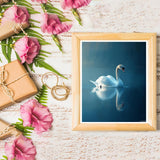 LAENAKR DIY Paint by Numbers for Adults Beginner, Swan Glides Across Still Blue Lake, Paint by Numbers Kit Painting by Numbers for Adults, 16" x 20" LAENAKR