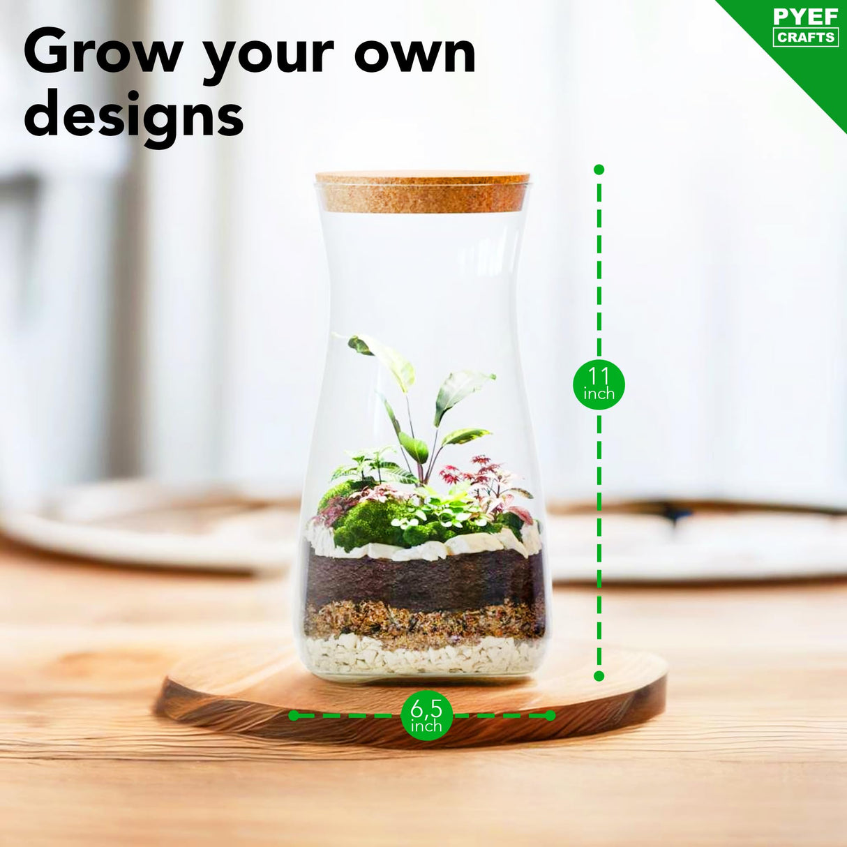 PYEF CRAFTS DIY Terrarium Kit for Adults – Build Your Own Self‑Sustaining Closed Ecosystem – 34 fl oz (1‑Liter) Glass Terrarium – Succulents, Air Plants, Fittonia, Fern – Plants Not Included PYEF CRAFTS