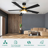 YITAHOME 60 Inch Ceiling Fan with Light and Remote, 5 Blades with Crystal Rod Design, Modern Chandelier Ceiling Fan with Reversible Quiet Motor, Indoor Ceiling Fan with 3 LED Colors, Black&Gold YITAHOME