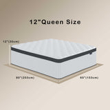 Tegeniss Queen Mattress, 12 Inch Mattresses Queen Size in a Box, Individually Wrapped Pocket Spring Mattresses,Pressure Relief, Medium Firm Support, Breathable and Low Motion Transfer Tegeniss