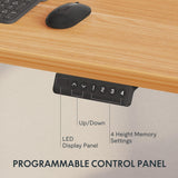 FLEXISPOT Standing Desk 3 Stages Dual Motor Electric Stand Up Desk 60x24 Inch Whole-Piece Board Height Adjustable Desk Electric Sit Stand Desk(White FLEXISPOT