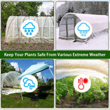 LSGCQ 6 mil Greenhouse Plastic Film Sheeting Cover 25 x 40 Ft UV Resistant Clear Polyethylene Film Green House Hoop Farm Plastic Cover for Gardening, Farming, Agriculture LSGCQ