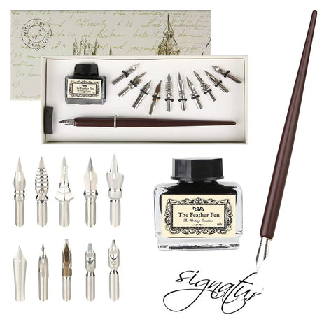 hhhouu Calligraphy Set for Beginners Quill Pen and Ink Set Fancy Pens with Black Ink and 11 Nibs for Lettering,Drawing, Journaling, Signing, Invitation HO-Q-301 hhhouu
