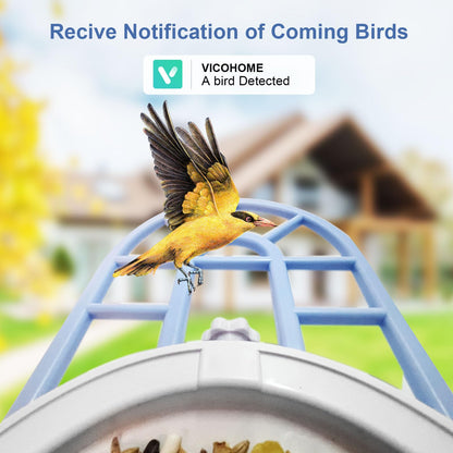 Smart Bird Feeder with Camera,Bird House Camera with AI Identify Bird Species,1080P HD Bird Watching Camera Auto Capture Bird Videos & Solar