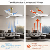 Fanliving 52 Inch 6 Speed High CFM Quiet DC Motor Modern Ceiling Fan with Lights Remote Control, 3 Blade White Gold Indoor Bedroom Living Room Ceiling Fan Fanliving