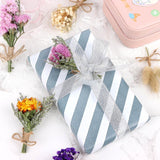 8 Pcs Mini Gypsophila Bouquets Dried Flower Daisy Bundles Dry Flower&Leaves Natural Lagurus Dried Embossing Flower Plant Stem Bunch for DIY Craft,Card Decoration,Photo Props,Home Party&Wedding Decor WWahuayuan