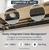 Desky Dual Light Bamboo Standing Desk - 72x30 Electric Standing Desk - Dual Motor, 3 Stage Adjustable Height Desk with 4 presets - Ergonomic Wood Desky